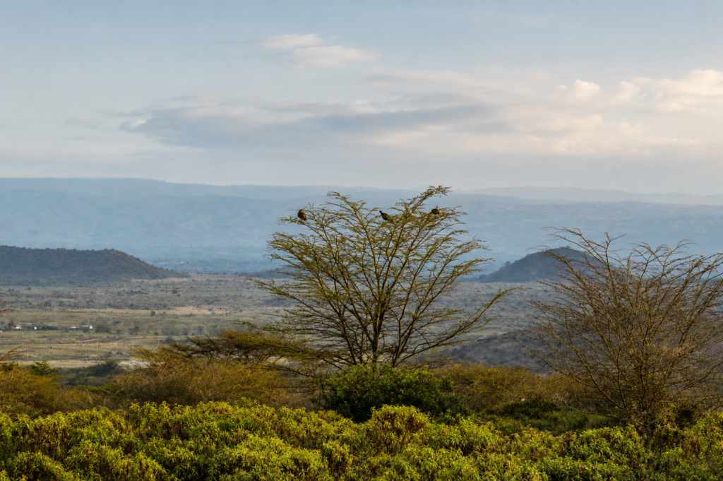 kenya paysage