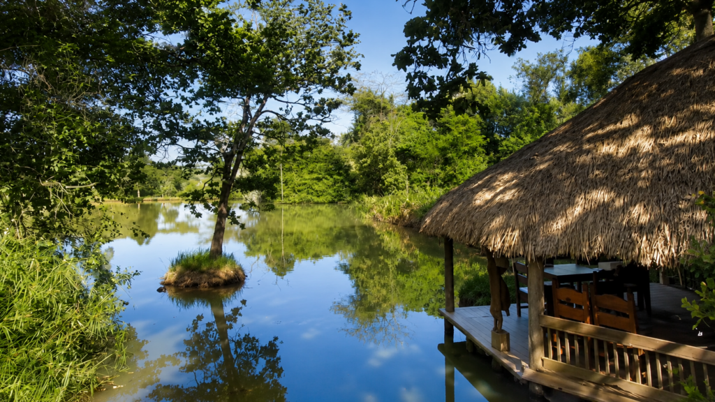 muringa farm 2