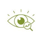 oeil