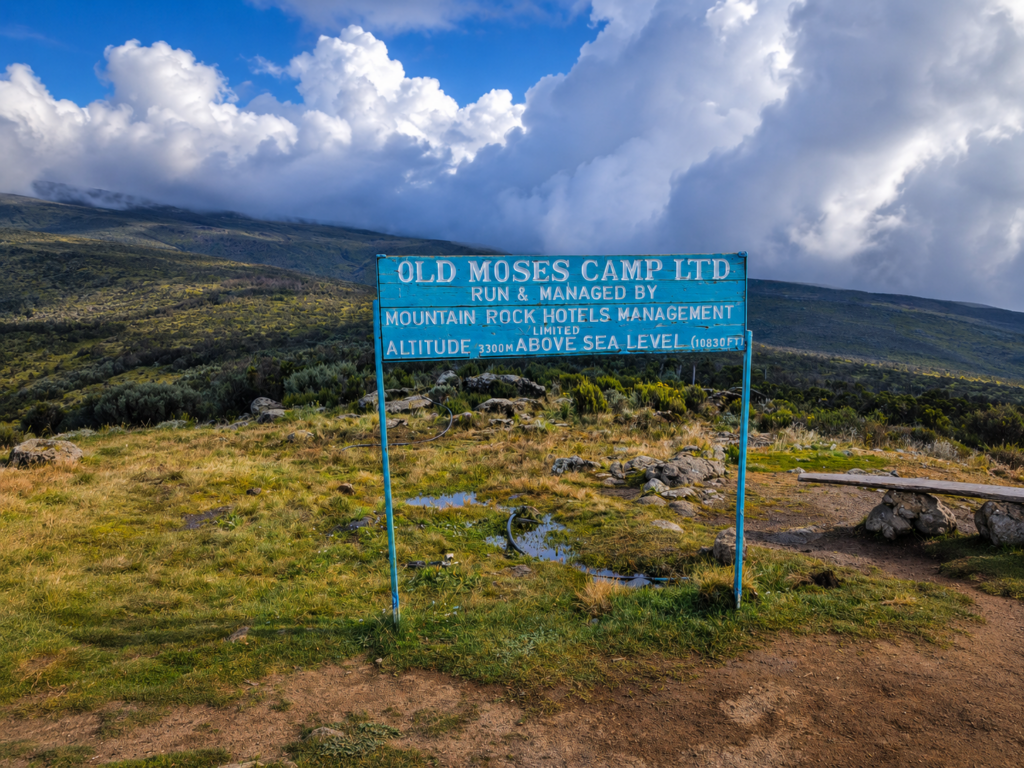 old moses camp